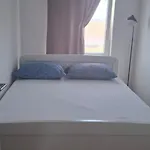 Ante Skoda Pivica